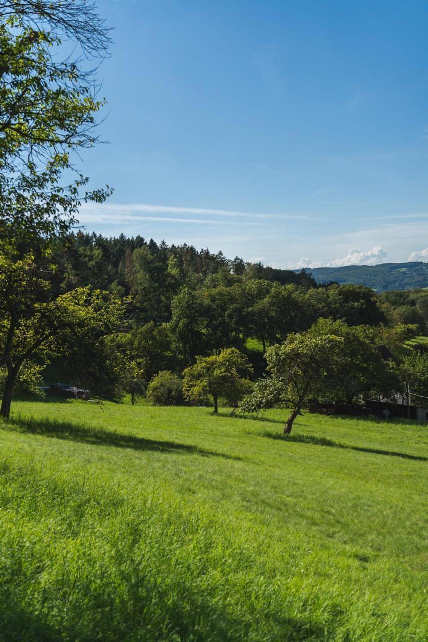 Gruenewaldhof In Rimbach Im Odenwald Apartment ภายนอก รูปภาพ