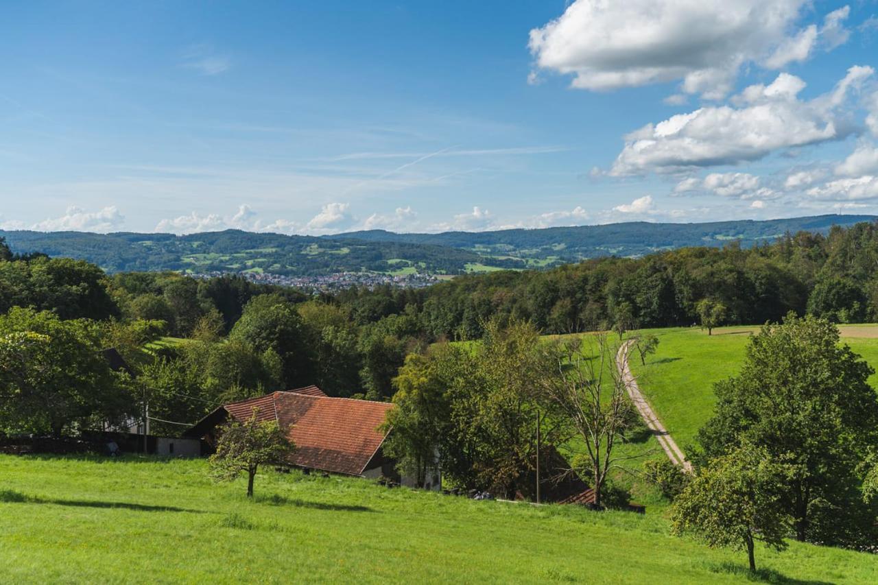 Gruenewaldhof In Rimbach Im Odenwald Apartment ภายนอก รูปภาพ