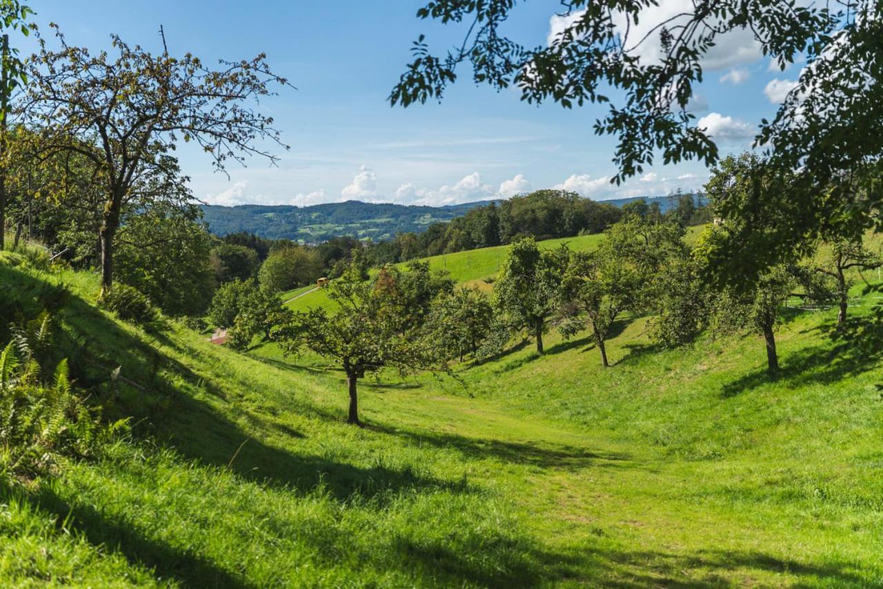 Gruenewaldhof In Rimbach Im Odenwald Apartment ภายนอก รูปภาพ